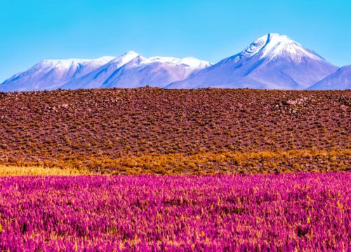 Bolivya Ülke Rehberi