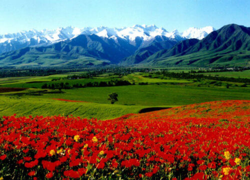 Kırgızistan Ülke Rehberi